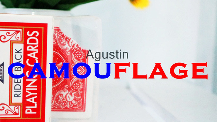 Camouflage by Agustin - Video Download