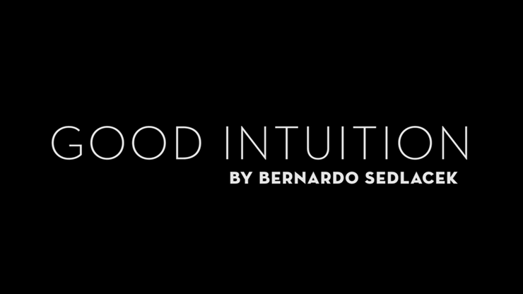 Good Intuition by Bernardo Sedlacek - Video Download