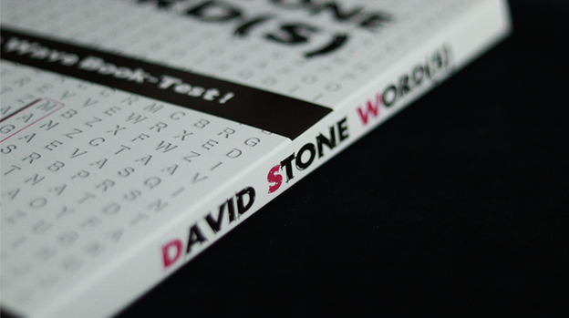 David Stone's Words (Spanish Version)