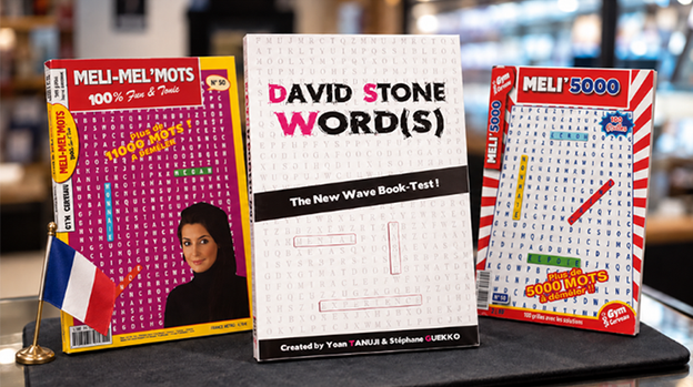 David Stone's Words(French Version)