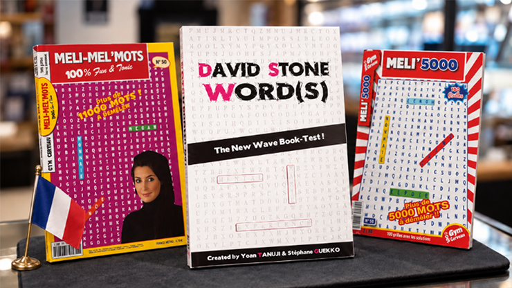 David Stone's Words(French Version)
