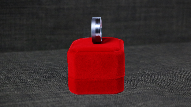 Neomagnetic Ring (20mm) by Leo Smetsers - Trick