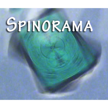 Spinorama by William Lee - Video Download