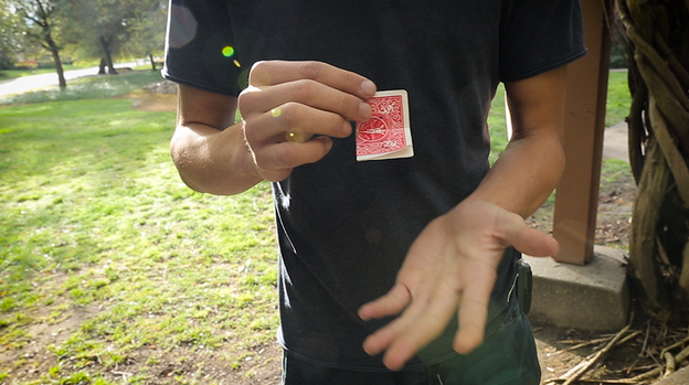 Camera Tricks (DVD and Gimmicks) by Casshan Wallace - DVD