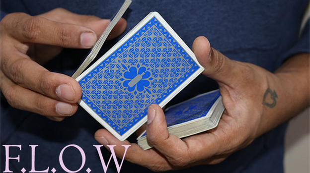 Magic Encarta Presents F.L.O.W by Vivek Singhi - - Video Download