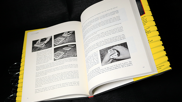 Spoiler Alert (Introduction by John Bannon) by Ryan Matney - Book