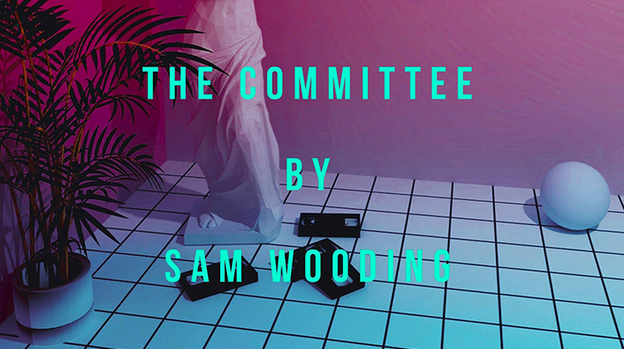 The Committee by Sam Wooding - ebook