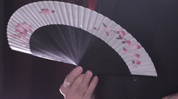 FANtast by Po-Cheng Lai - DVD