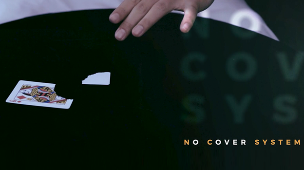 Black Art Project (2 DVD Set) by SansMinds- DVD