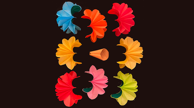 Deluxe Spring Flowers by Alan Wong - Trick