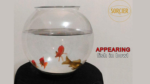 APPEARING FISH IN BOWL by Sorcier Magic