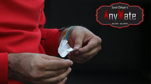 AnyMate by Sumit Chhajer - Video Download