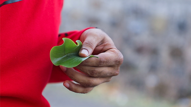 AnyMate by Sumit Chhajer - Video Download