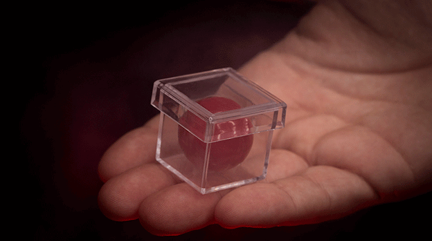 MAGIC CHAMBER (Gimmicks and Instructions) by Apprentice Magic - Trick