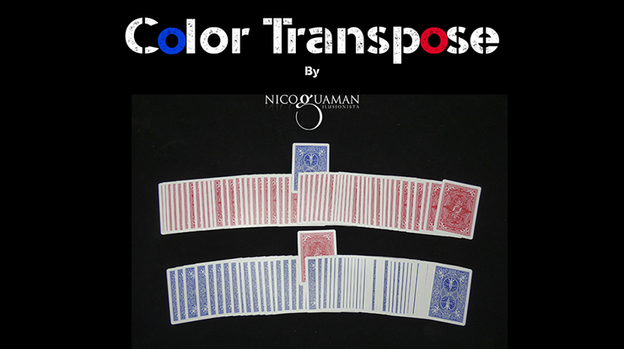 Color Transpose by Nico Guaman - Video Download