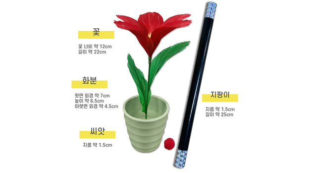 WAND TO FLOWER by JL Magic - Trick