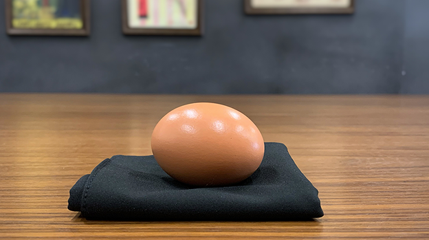 EGG BAG BLACK by Bacon Magic - Trick