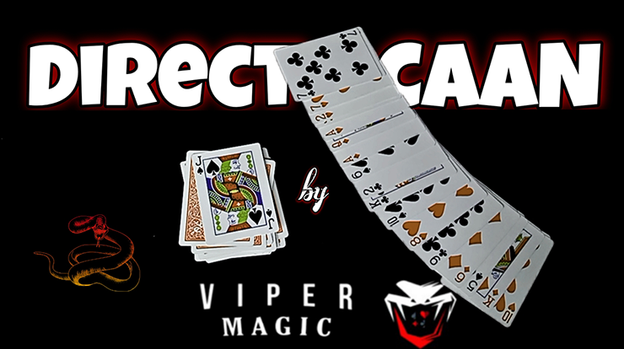 DirectCAAN by Viper Magic - Video Download