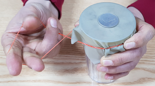 3D Stretch Rubber Plate (5PK) by JL Magic - Trick