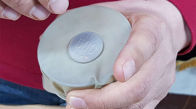 3D Stretch Rubber Plate (5PK) by JL Magic - Trick