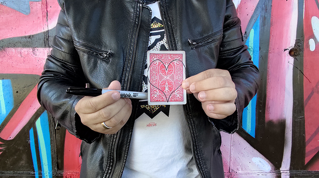 Surprise Proposal by Patricio Teran - Video Download