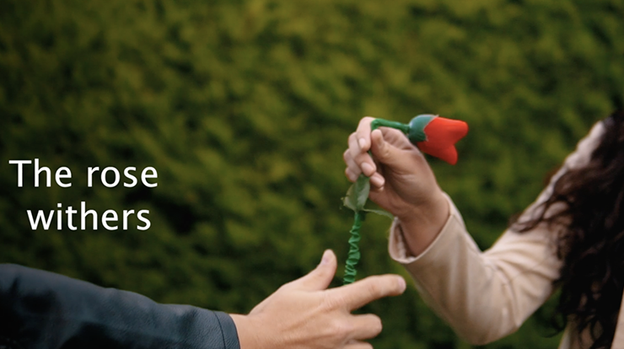 DROPPING FLOWER by Mago Rigel & Twister Magic - Trick