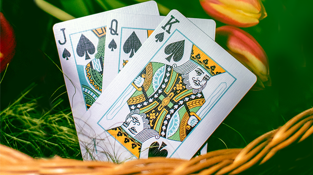 Butterfly Seasons Playing Cards Marked (Spring) by Ondrej Psenicka