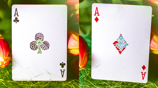 Butterfly Seasons Playing Cards Marked (Spring) by Ondrej Psenicka