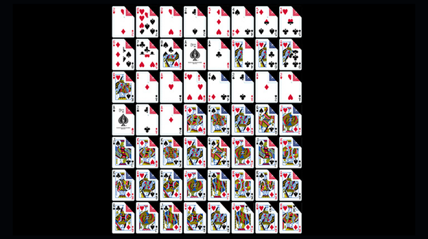 Bicycle Gaff Index (Gimmicks and Online Instructions)