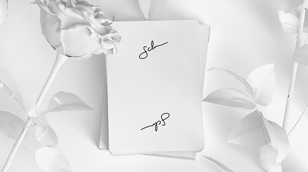 Daniel Schneider White Edition Playing Cards