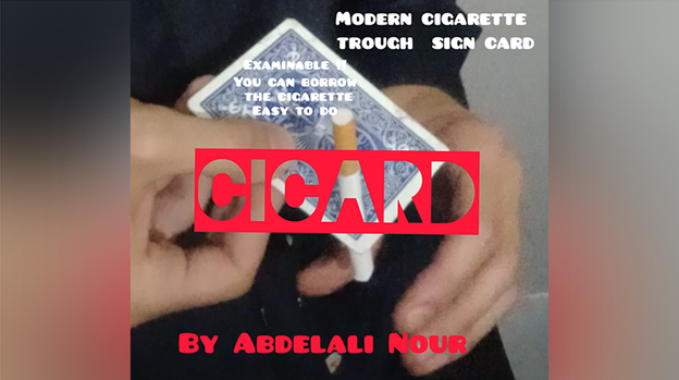 Cicard by Abdelali Nour - Video Download