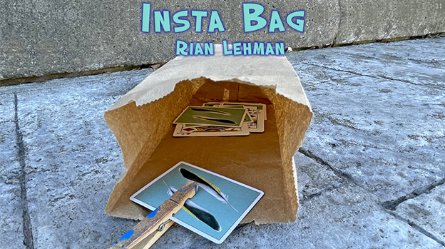 Insta Bag by Rian Lehman - Video Download