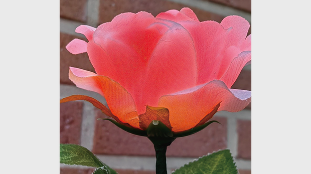 Remote Light Rose Multi-color (Charger Included) by JL Magic - Trick