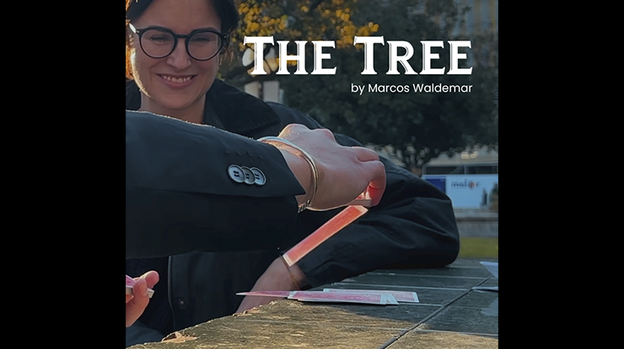 THE TREE by Marcos Waldemar & Invisible Compass - Video Download