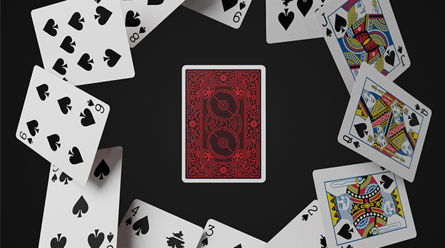 404 Playing Cards by Vanishing Inc