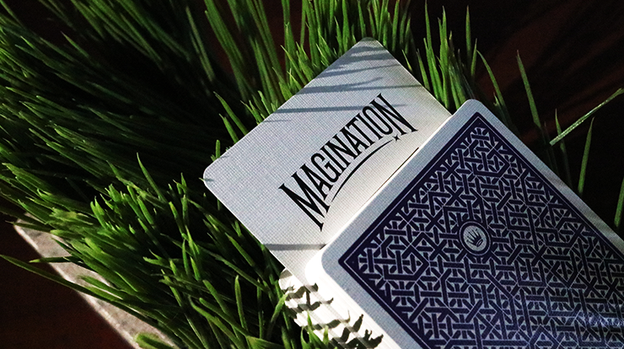 DMC Alpha V3 (Purple) Portcullis with Online Instructions