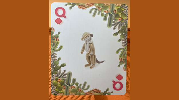 Bicycle Balloon Desert Playing Cards