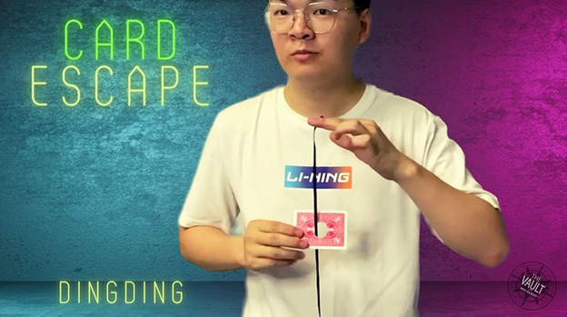 The Vault - Card Escape by Dingding - Video Download