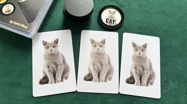 Art Prediction by N2G and Kaifu Wang - Trick