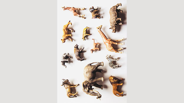 Noah's Ark Prop-less Animal Guess by Fraser Parker - Book