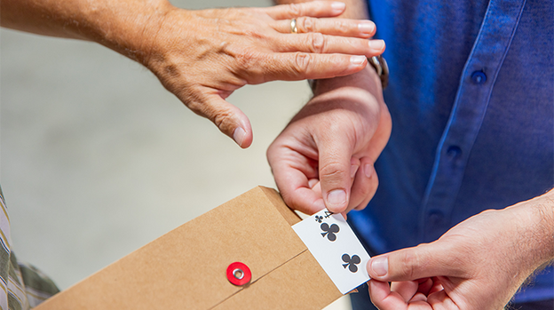 Canon (Gimmicks and Online Instructions) by David Regal - Trick