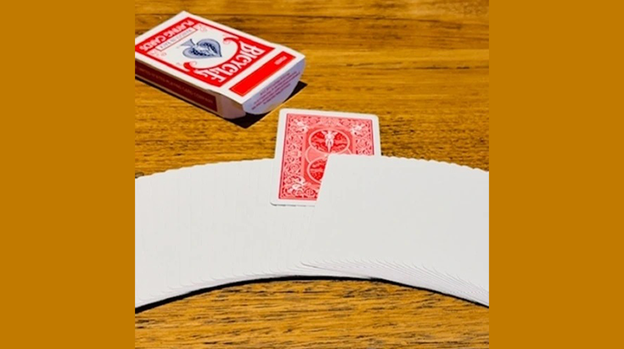 NEW AGE by Andrew and Guilherme