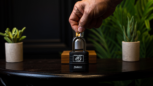 Sure Lock by James Kellogg Jr.