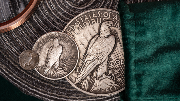 Jumbo Peace Dollar by N2G