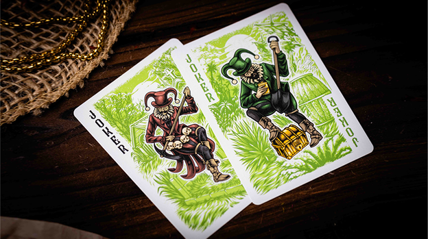 The Thief: Verdant Dawn Edition Playing