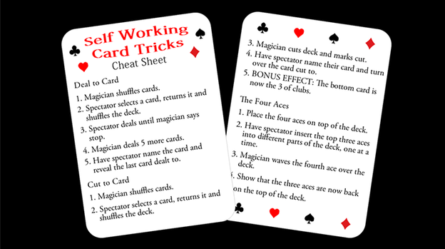 Self Starter by Paul Carnazzo