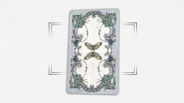 House by the Window (Collectors Edition) Tarot Deck