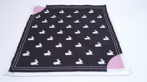 Pocket Bunny by Lee Alex