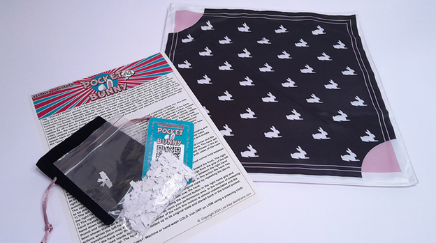 Pocket Bunny by Lee Alex