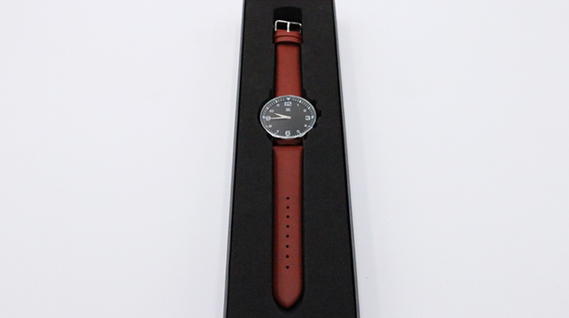 SB Watch 2 (2024) Noir Silver One